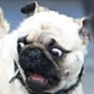 Meet your Posher, Kathryn